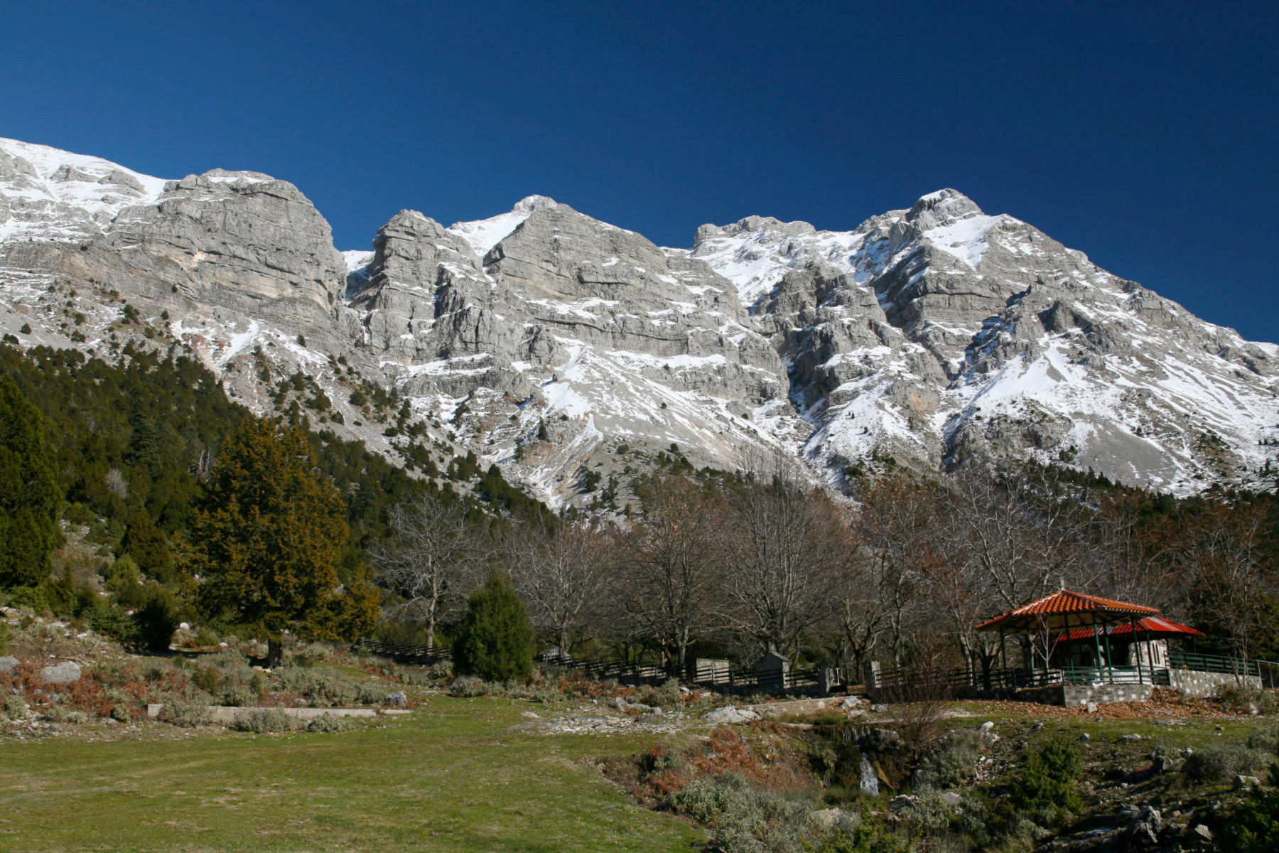 Travel Arta, Άρτα, Τζουμέρκα