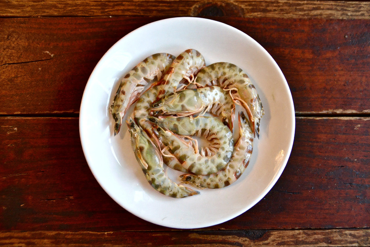 ∆ΡΑΣΤΗΡΙΟΤΗΤΕΣ ΣΤΟ ΠΟΤΑΜΙ Αχέροντας Πρέβεζα